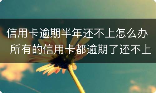 信用卡逾期半年还不上怎么办 所有的信用卡都逾期了还不上,怎么办