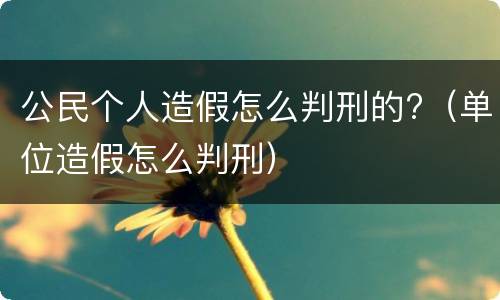 公民个人造假怎么判刑的?（单位造假怎么判刑）