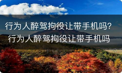 行为人醉驾拘役让带手机吗？ 行为人醉驾拘役让带手机吗