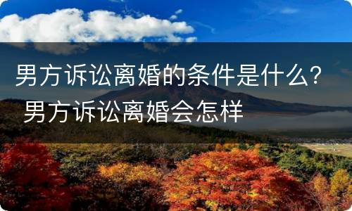 男方诉讼离婚的条件是什么？ 男方诉讼离婚会怎样