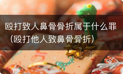 殴打致人鼻骨骨折属于什么罪（殴打他人致鼻骨骨折）