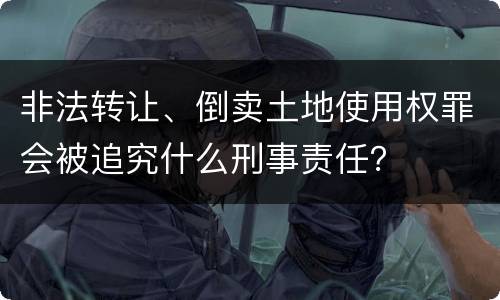 非法转让、倒卖土地使用权罪会被追究什么刑事责任？
