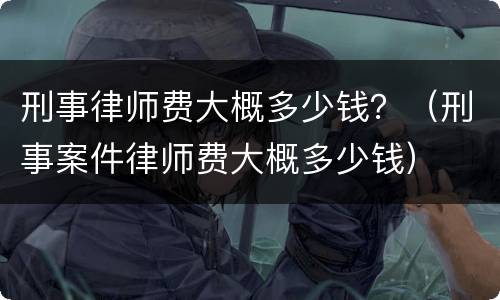 刑事律师费大概多少钱？（刑事案件律师费大概多少钱）