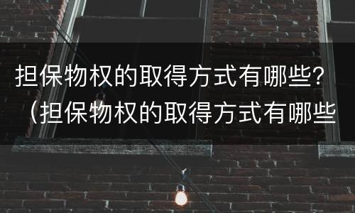 担保物权的取得方式有哪些？（担保物权的取得方式有哪些呢）