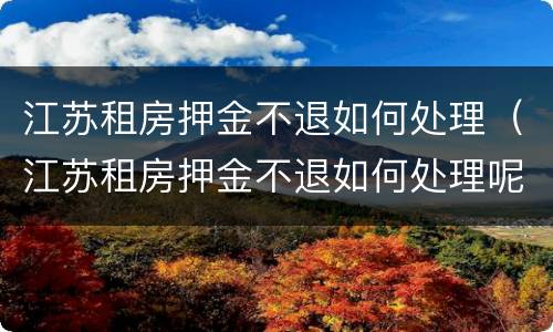 江苏租房押金不退如何处理（江苏租房押金不退如何处理呢）