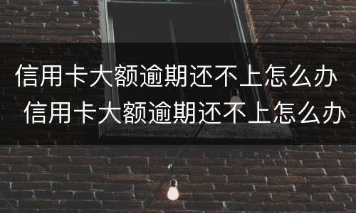 信用卡大额逾期还不上怎么办 信用卡大额逾期还不上怎么办呢