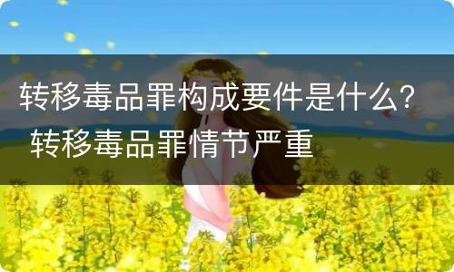 转移毒品罪构成要件是什么？ 转移毒品罪情节严重