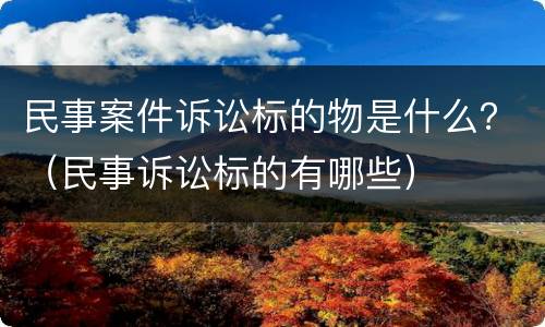 民事案件诉讼标的物是什么？（民事诉讼标的有哪些）