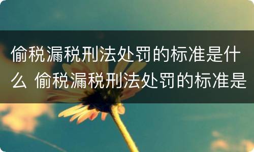偷税漏税刑法处罚的标准是什么 偷税漏税刑法处罚的标准是什么呢