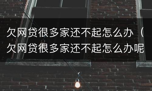 欠网贷很多家还不起怎么办（欠网贷很多家还不起怎么办呢）