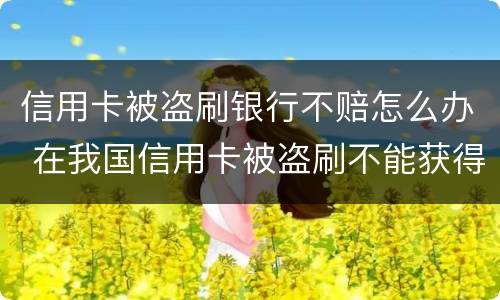 信用卡被盗刷银行不赔怎么办 在我国信用卡被盗刷不能获得银行赔偿