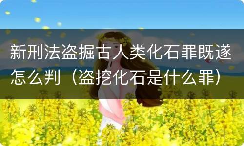 新刑法盗掘古人类化石罪既遂怎么判（盗挖化石是什么罪）
