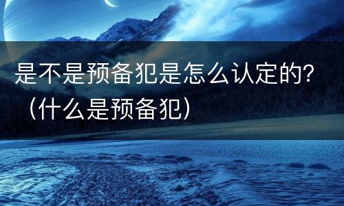 是不是预备犯是怎么认定的？（什么是预备犯）
