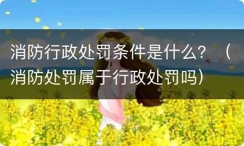 消防行政处罚条件是什么？（消防处罚属于行政处罚吗）