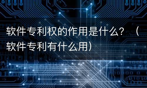 软件专利权的作用是什么？（软件专利有什么用）