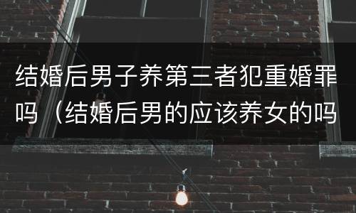 结婚后男子养第三者犯重婚罪吗（结婚后男的应该养女的吗）