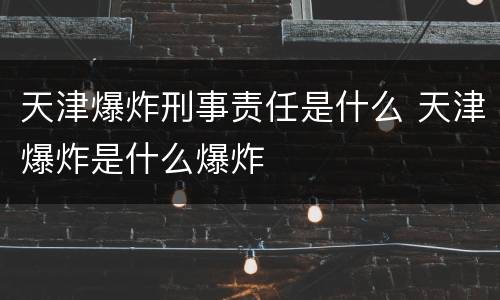 天津爆炸刑事责任是什么 天津爆炸是什么爆炸