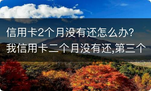 信用卡2个月没有还怎么办？ 我信用卡二个月没有还,第三个月还