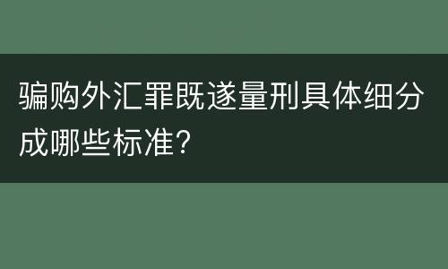 骗购外汇罪既遂量刑具体细分成哪些标准?