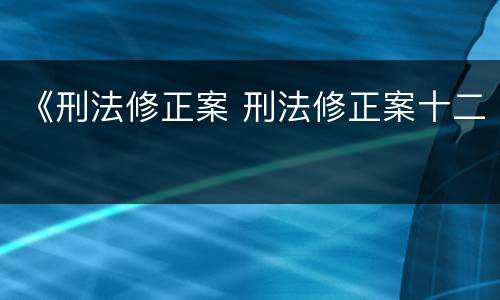 《刑法修正案 刑法修正案十二