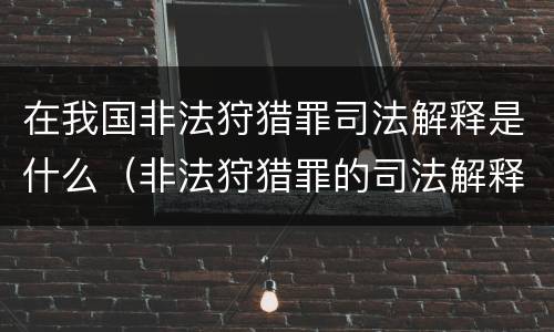 在我国非法狩猎罪司法解释是什么（非法狩猎罪的司法解释）
