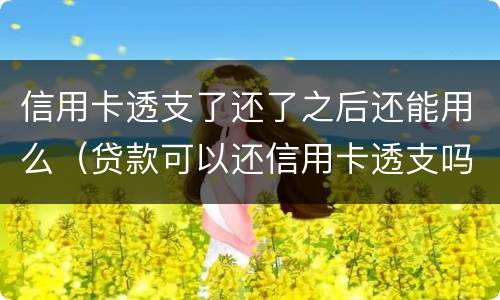 信用卡透支了还了之后还能用么（贷款可以还信用卡透支吗）