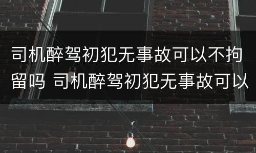 司机醉驾初犯无事故可以不拘留吗 司机醉驾初犯无事故可以不拘留吗