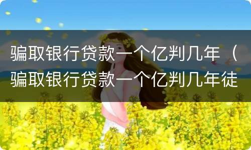 骗取银行贷款一个亿判几年（骗取银行贷款一个亿判几年徒刑）