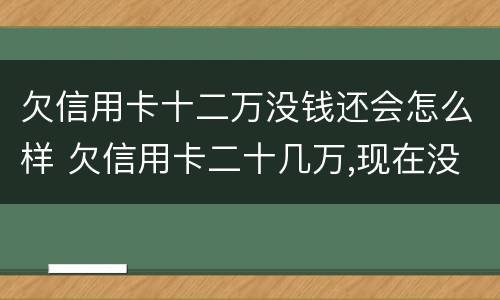 欠信用卡十二万没钱还会怎么样 欠信用卡二十几万,现在没能力还了