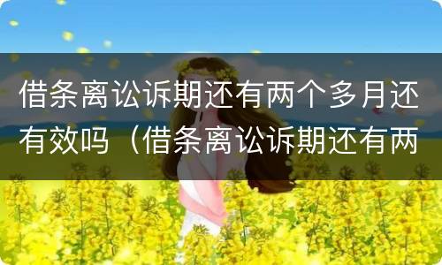 借条离讼诉期还有两个多月还有效吗（借条离讼诉期还有两个多月还有效吗怎么办）