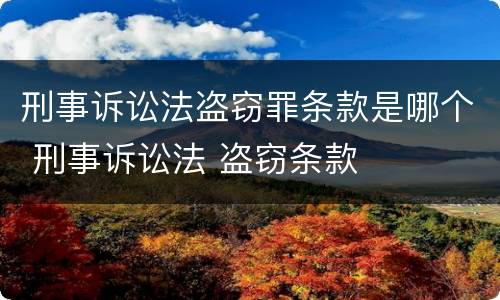 刑事诉讼法盗窃罪条款是哪个 刑事诉讼法 盗窃条款