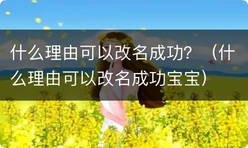 什么理由可以改名成功？（什么理由可以改名成功宝宝）