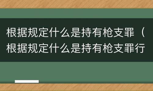根据规定什么是持有枪支罪（根据规定什么是持有枪支罪行）