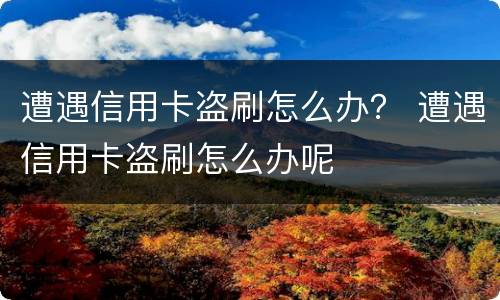 遭遇信用卡盗刷怎么办？ 遭遇信用卡盗刷怎么办呢