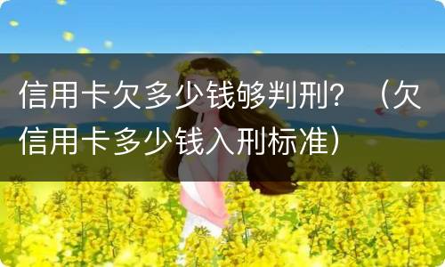 信用卡欠多少钱够判刑？（欠信用卡多少钱入刑标准）