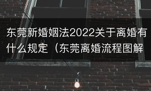 东莞新婚姻法2022关于离婚有什么规定（东莞离婚流程图解）