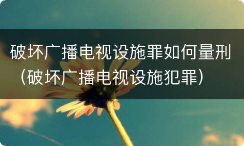 破坏广播电视设施罪如何量刑（破坏广播电视设施犯罪）