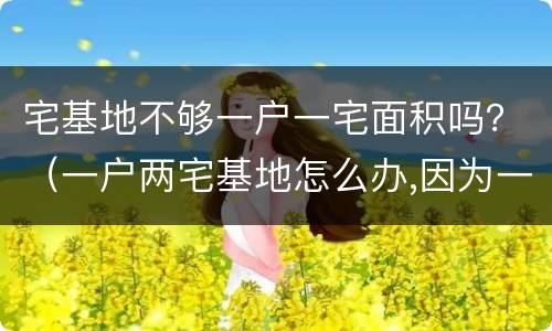 宅基地不够一户一宅面积吗？（一户两宅基地怎么办,因为一处面积不够）