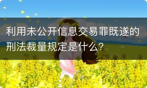 利用未公开信息交易罪既遂的刑法裁量规定是什么？