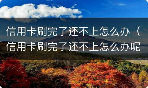 信用卡刷完了还不上怎么办（信用卡刷完了还不上怎么办呢）