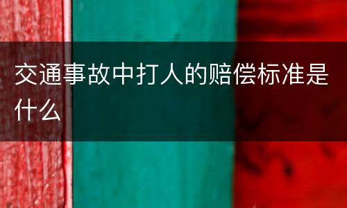 交通事故中打人的赔偿标准是什么
