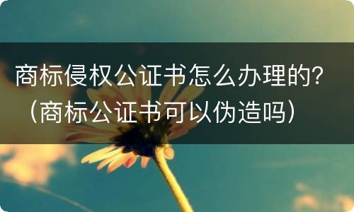 商标侵权公证书怎么办理的？（商标公证书可以伪造吗）