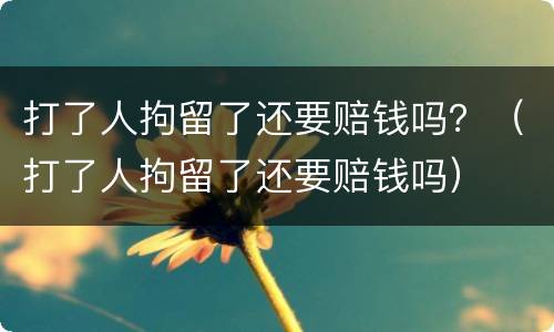 打了人拘留了还要赔钱吗？（打了人拘留了还要赔钱吗）