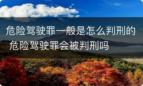 危险驾驶罪一般是怎么判刑的 危险驾驶罪会被判刑吗