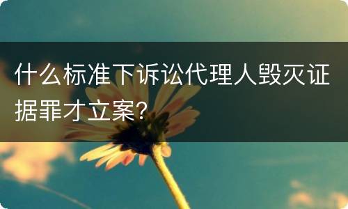 什么标准下诉讼代理人毁灭证据罪才立案？