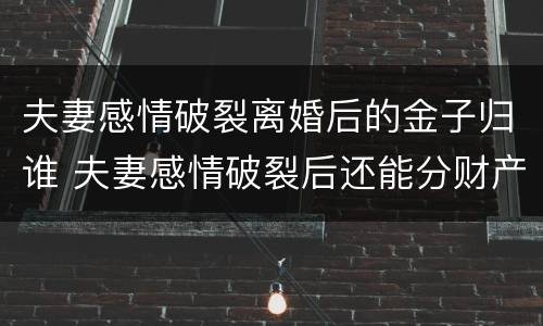 夫妻感情破裂离婚后的金子归谁 夫妻感情破裂后还能分财产吗
