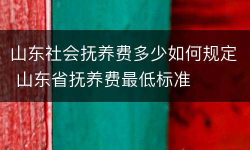 山东社会抚养费多少如何规定 山东省抚养费最低标准