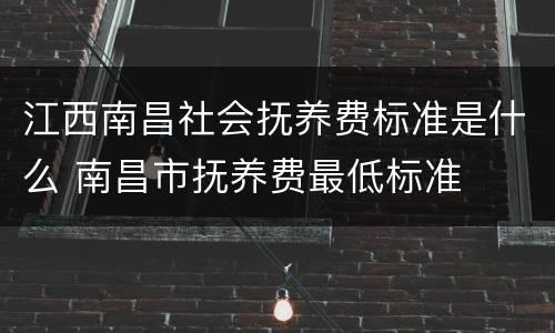 江西南昌社会抚养费标准是什么 南昌市抚养费最低标准