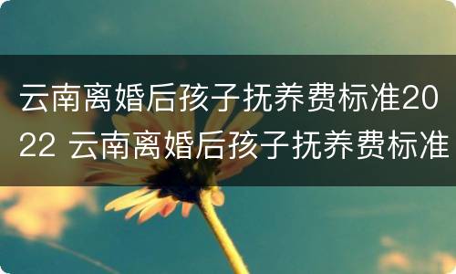 云南离婚后孩子抚养费标准2022 云南离婚后孩子抚养费标准2022多少