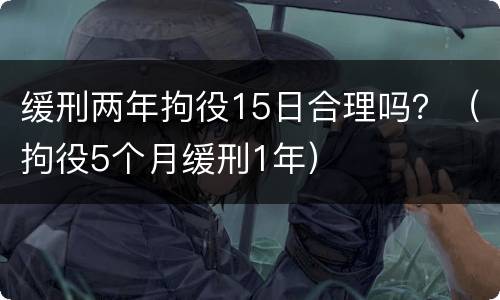 缓刑两年拘役15日合理吗？（拘役5个月缓刑1年）